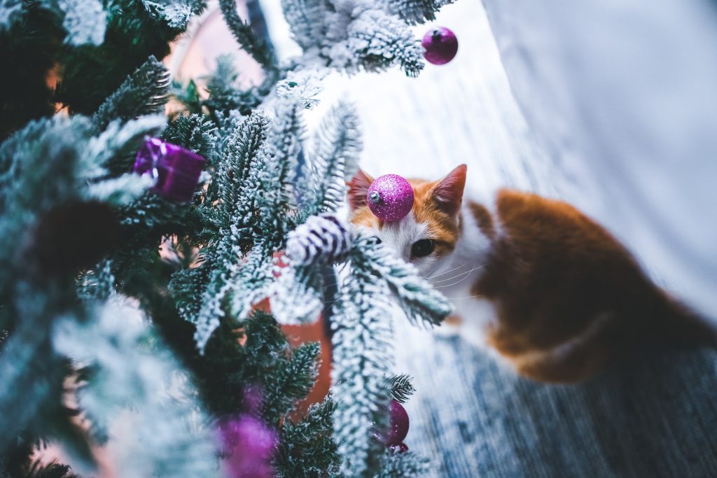 ginger-cat-under-christmas-tree-with-snow-purple-baubles